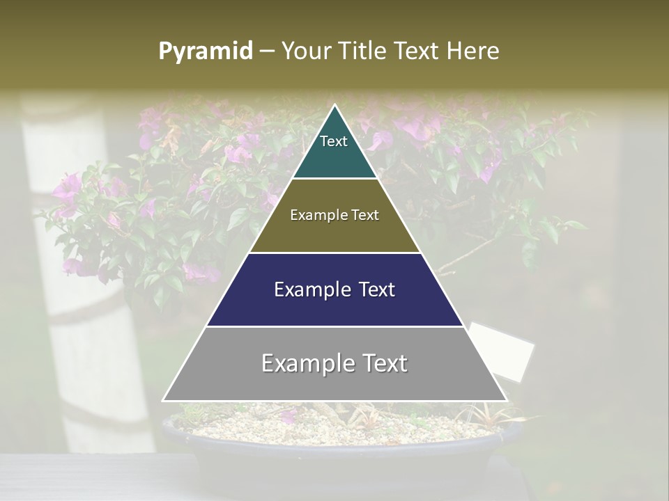 Bonsai Leaf Plant PowerPoint Template