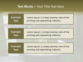 Bonsai Leaf Plant PowerPoint Template
