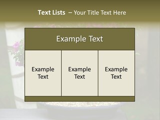 Bonsai Leaf Plant PowerPoint Template