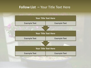 Bonsai Leaf Plant PowerPoint Template