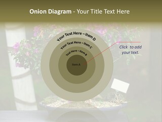 Bonsai Leaf Plant PowerPoint Template