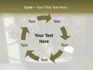 Bonsai Leaf Plant PowerPoint Template