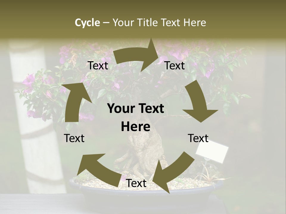 Bonsai Leaf Plant PowerPoint Template