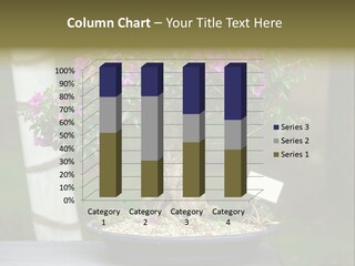 Bonsai Leaf Plant PowerPoint Template