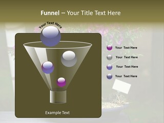 Bonsai Leaf Plant PowerPoint Template