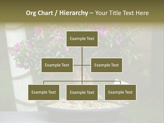 Bonsai Leaf Plant PowerPoint Template