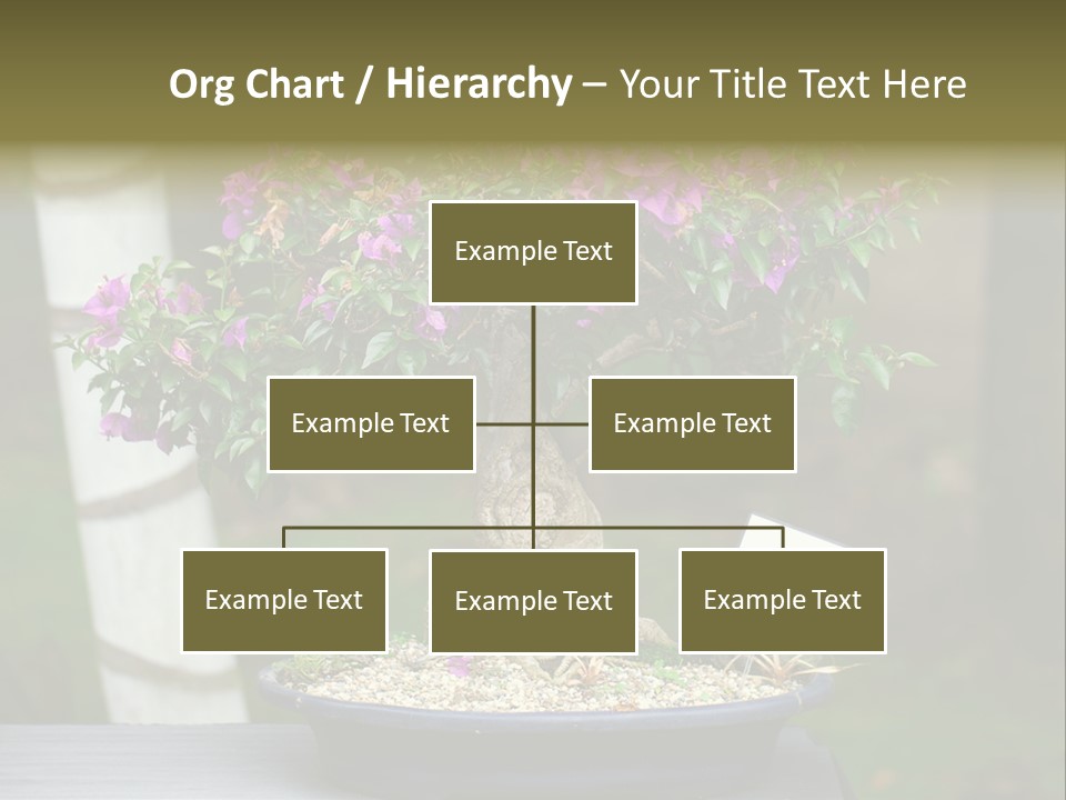 Bonsai Leaf Plant PowerPoint Template
