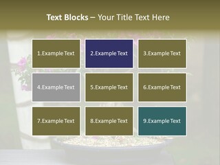 Bonsai Leaf Plant PowerPoint Template