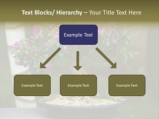 Bonsai Leaf Plant PowerPoint Template