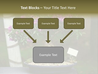 Bonsai Leaf Plant PowerPoint Template