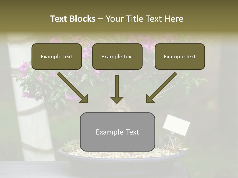 Bonsai Leaf Plant PowerPoint Template