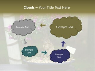 Bonsai Leaf Plant PowerPoint Template