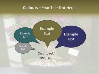 Bonsai Leaf Plant PowerPoint Template