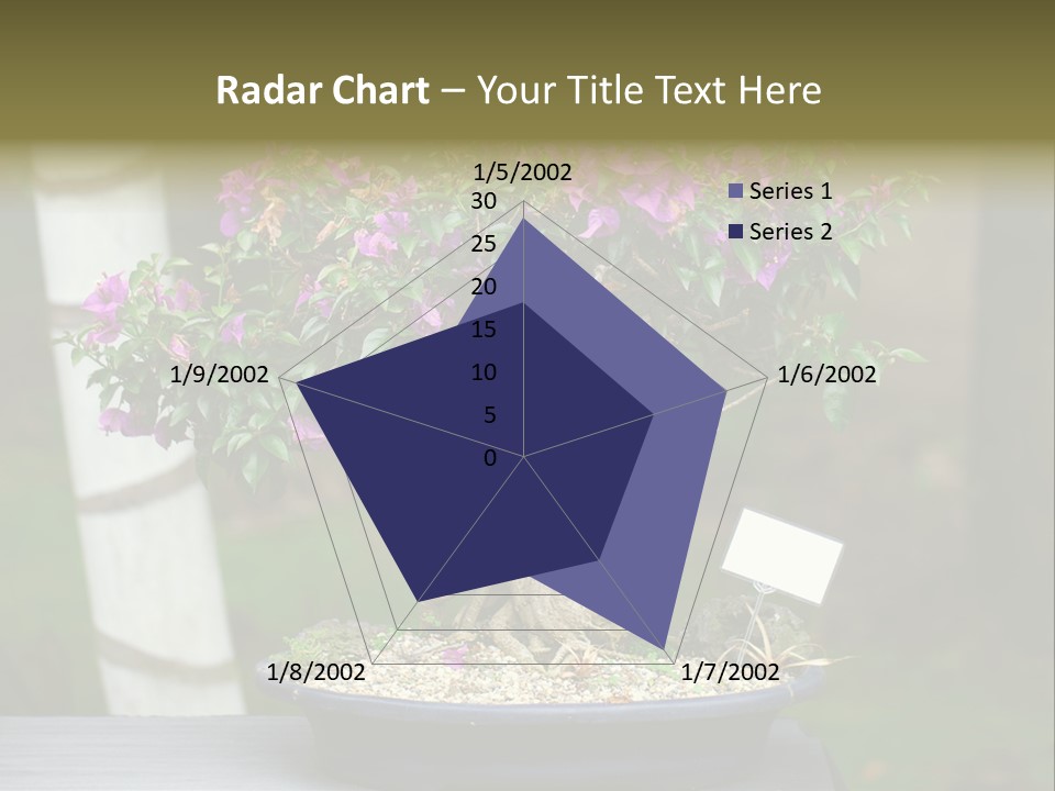 Bonsai Leaf Plant PowerPoint Template