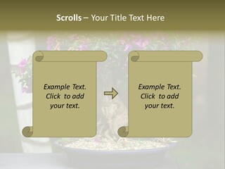 Bonsai Leaf Plant PowerPoint Template