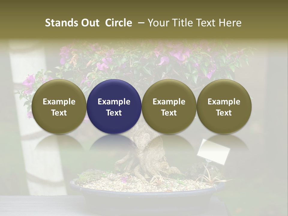 Bonsai Leaf Plant PowerPoint Template