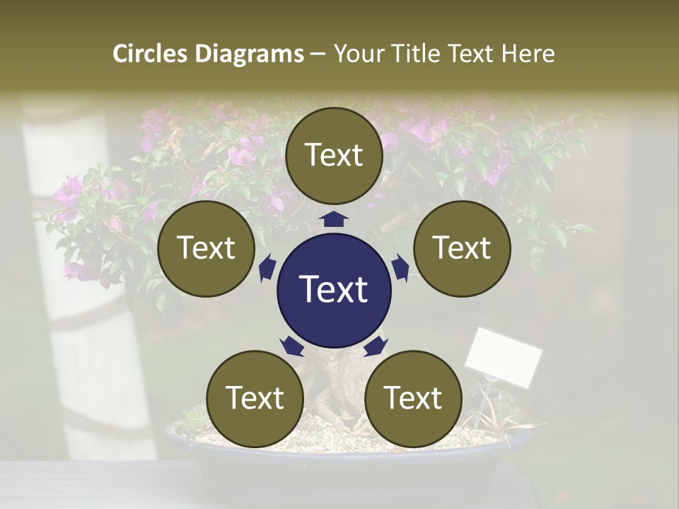 Bonsai Leaf Plant PowerPoint Template