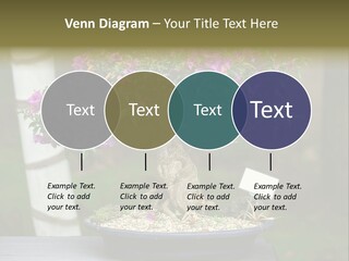 Bonsai Leaf Plant PowerPoint Template