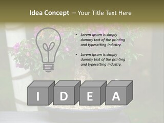 Bonsai Leaf Plant PowerPoint Template