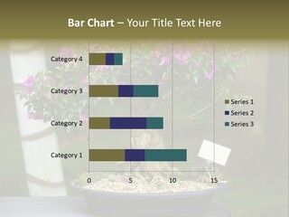 Bonsai Leaf Plant PowerPoint Template