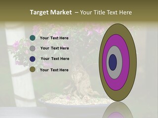 Bonsai Leaf Plant PowerPoint Template