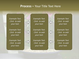 Bonsai Leaf Plant PowerPoint Template
