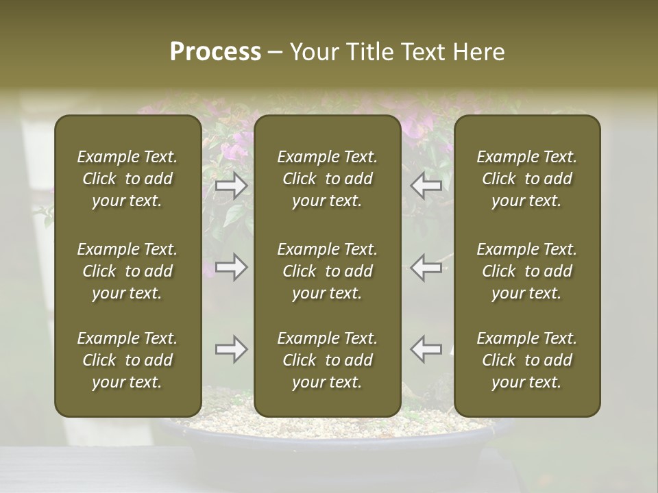 Bonsai Leaf Plant PowerPoint Template