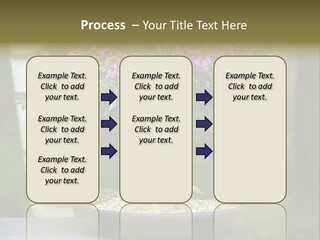 Bonsai Leaf Plant PowerPoint Template