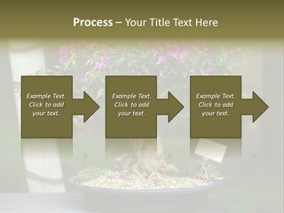 Bonsai Leaf Plant PowerPoint Template