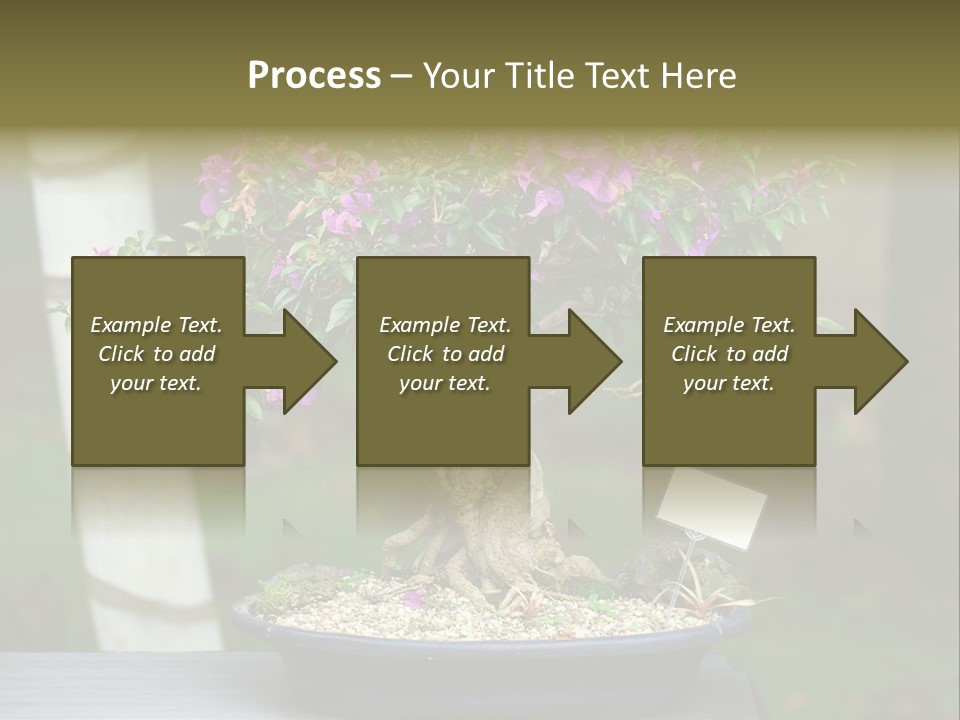 Bonsai Leaf Plant PowerPoint Template