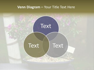 Bonsai Leaf Plant PowerPoint Template