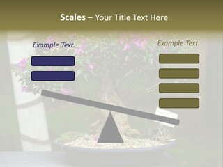 Bonsai Leaf Plant PowerPoint Template