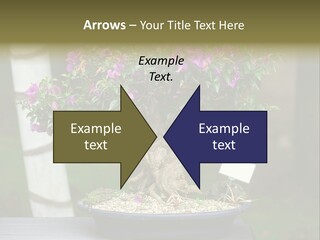 Bonsai Leaf Plant PowerPoint Template