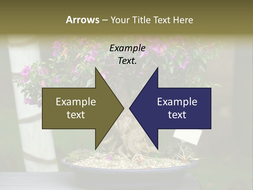 Bonsai Leaf Plant PowerPoint Template