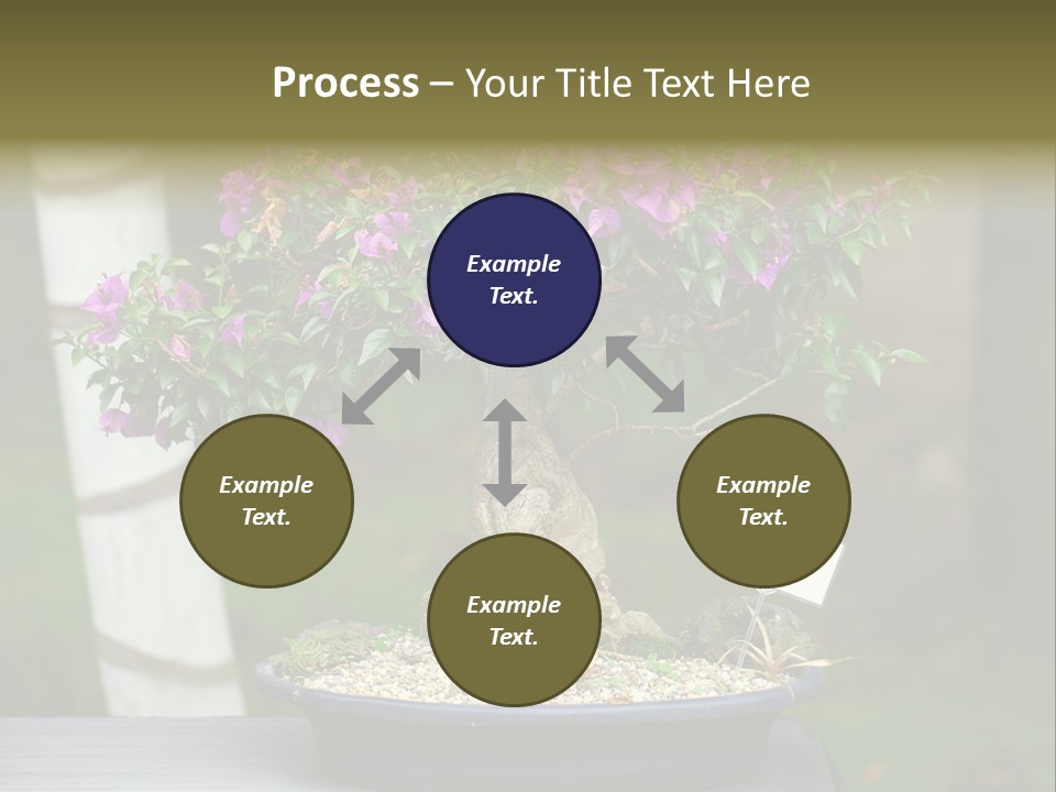 Bonsai Leaf Plant PowerPoint Template