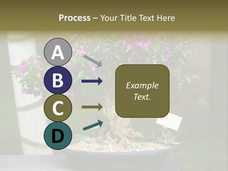 Bonsai Leaf Plant PowerPoint Template