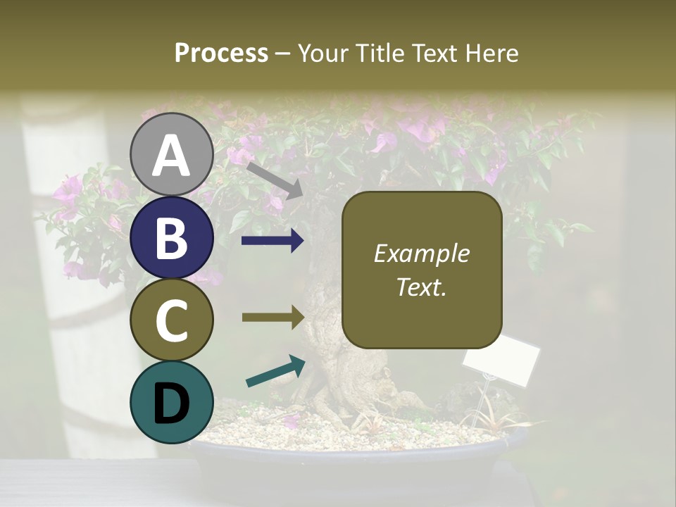 Bonsai Leaf Plant PowerPoint Template