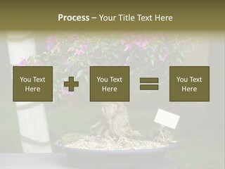Bonsai Leaf Plant PowerPoint Template