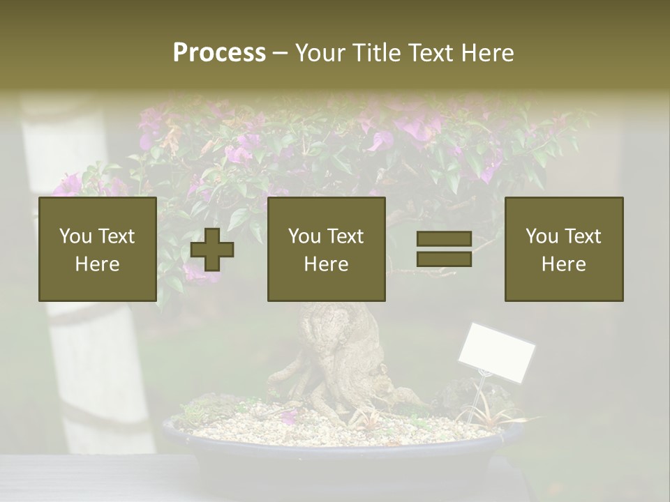 Bonsai Leaf Plant PowerPoint Template