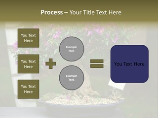 Bonsai Leaf Plant PowerPoint Template