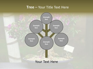 Bonsai Leaf Plant PowerPoint Template