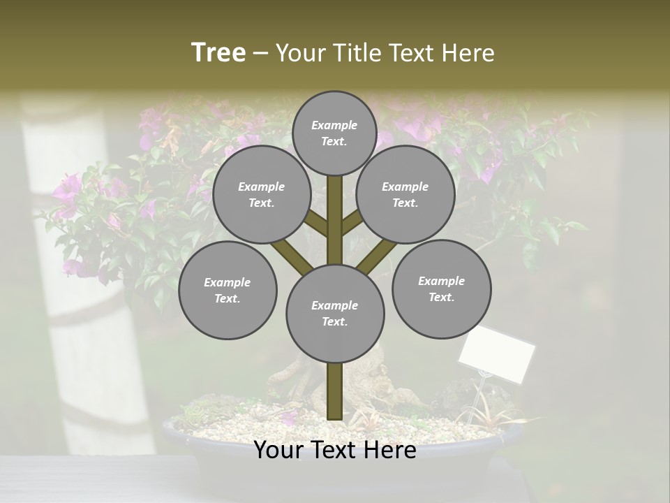 Bonsai Leaf Plant PowerPoint Template