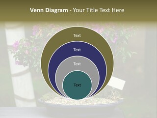 Bonsai Leaf Plant PowerPoint Template