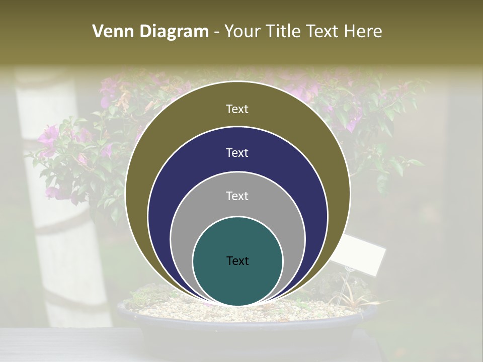Bonsai Leaf Plant PowerPoint Template