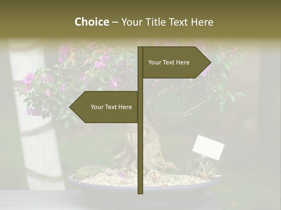 Bonsai Leaf Plant PowerPoint Template