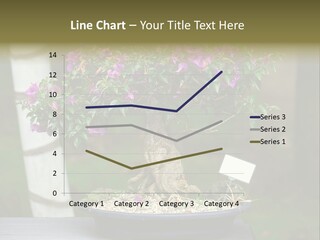 Bonsai Leaf Plant PowerPoint Template