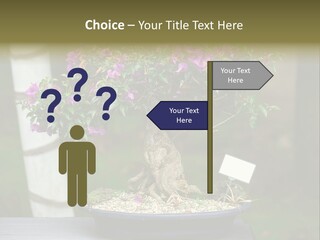 Bonsai Leaf Plant PowerPoint Template