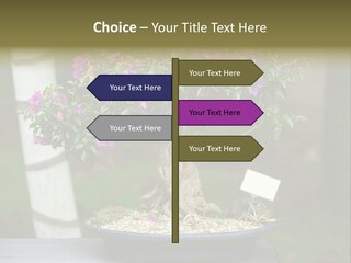 Bonsai Leaf Plant PowerPoint Template