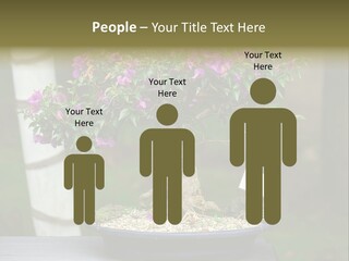 Bonsai Leaf Plant PowerPoint Template