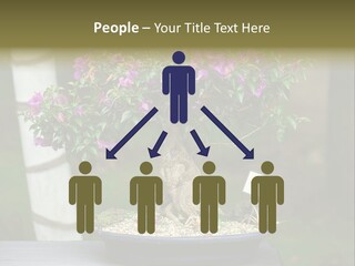 Bonsai Leaf Plant PowerPoint Template